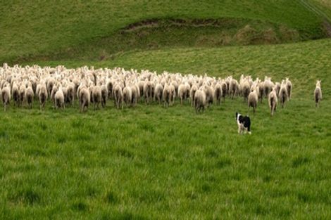 Photo of property in 125-127 Bell Road, Waiwhetu, Lower Hutt, 5010