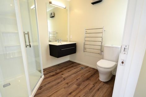 Photo of property in 24 Ascot Street, Richmond, 7020