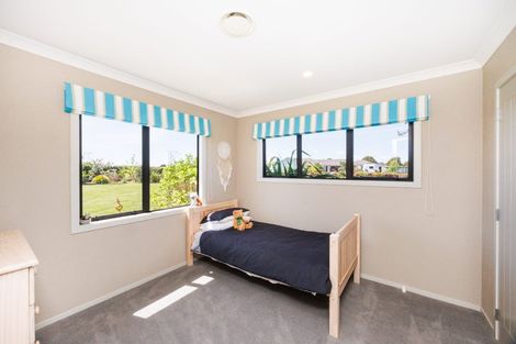 Photo of property in 93 Mount Taylor Drive, Feilding, 4775