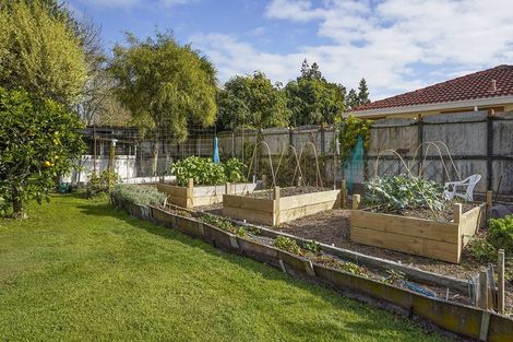 Photo of property in 53 Knighton Road, Hillcrest, Hamilton, 3216