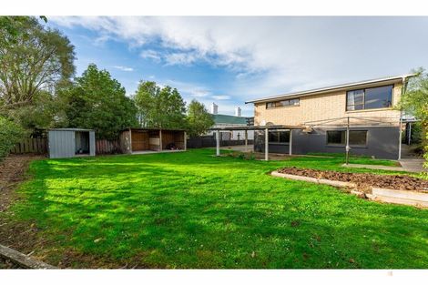 Photo of property in 12 Timaru Road, Waimate, 7924