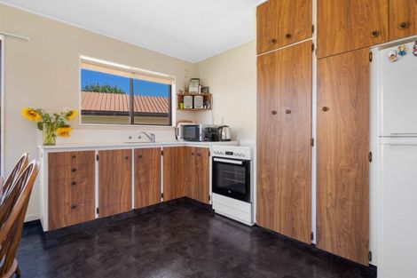 Photo of property in 15 Orchard Street, Clyde, 9330