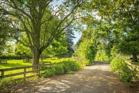 Photo of property in 662 Tauwhare Road, Matangi, Hamilton, 3287
