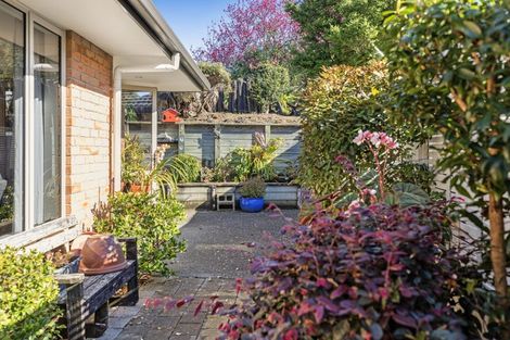 Photo of property in 11/17 Simmonds Grove, Greerton, Tauranga, 3112