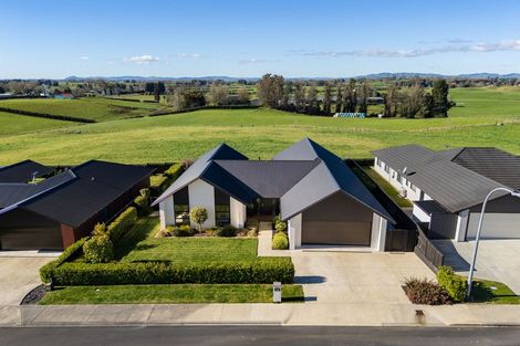 Photo of property in 19 Wikaira Road, Te Awamutu, 3800