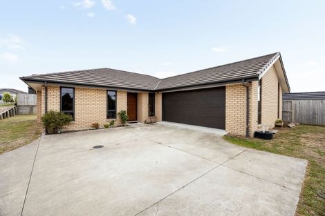 Photo of property in 256 Dixon Road, Fitzroy, Hamilton, 3206