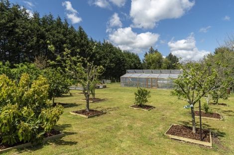 Photo of property in 29 Peers Road, Omanawa, Tauranga, 3171