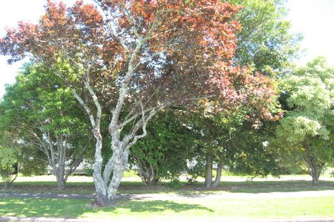 Photo of property in 218 Harris Street, Inner Kaiti, Gisborne, 4010