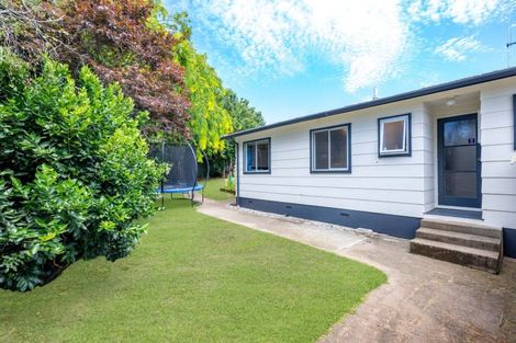 Photo of property in 127 Fairview Street, Chartwell, Hamilton, 3210