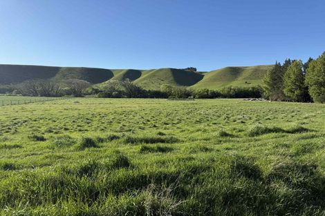 Photo of property in 633 Ardgour Road, Tarras, Cromwell, 9383