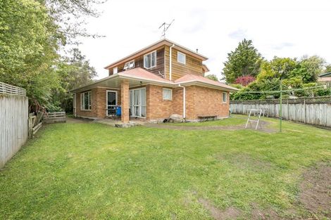 Photo of property in 8a Alison Street, Hamilton Lake, Hamilton, 3204