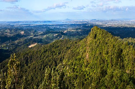 Photo of property in 166 Opanuku Road, Henderson Valley, Auckland, 0612