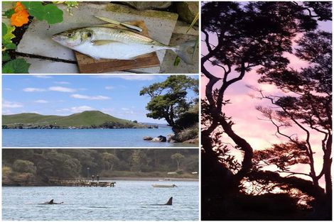 Photo of property in 579 Te Akau Wharf Road, Te Akau, Ngaruawahia, 3793