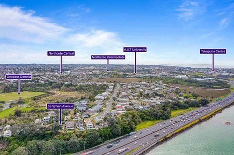 Photo of property in 59 Sylvan Avenue, Northcote, Auckland, 0627