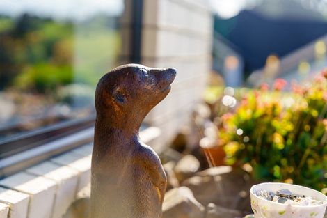 Photo of property in 23 Calla Street, Maungaturoto, 0520