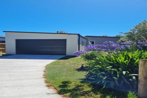 Photo of property in 77 Dublin Street, Martinborough, 5711