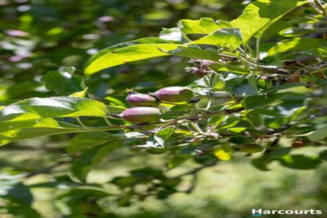 Photo of property in 1380 Moutere Highway, Upper Moutere, 7173