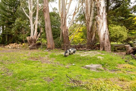 Photo of property in 73 Castle Hill Road, Alfredton, Eketahuna, 4996