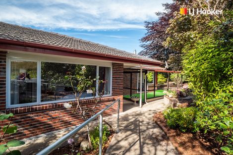 Photo of property in 166 Balmacewen Road, Wakari, Dunedin, 9010