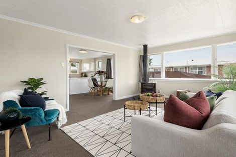 Photo of property in 19 Hale Street, Blenheim, 7201