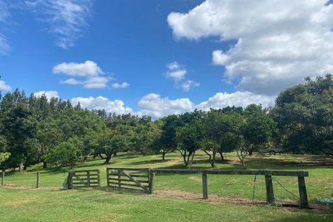 Photo of property in 236 Waipapa Block Road, Whakamarama, Tauranga, 3180
