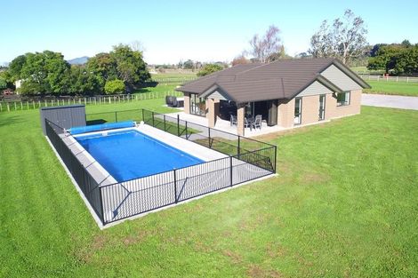 Photo of property in 106 O'shea Road, Pirongia, Te Awamutu, 3876