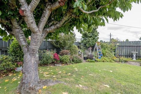 Photo of property in 35 York Street, Levin, 5510