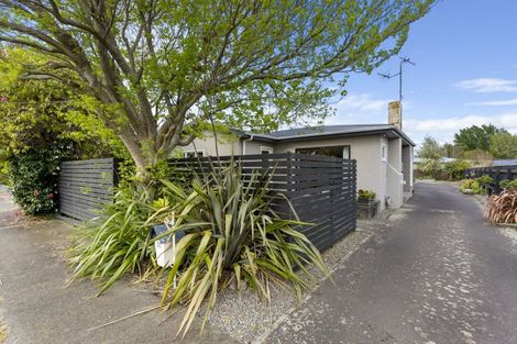 Photo of property in 31 Windsor Street, Terrace End, Palmerston North, 4410