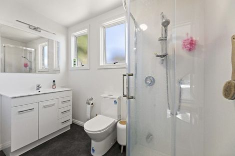 Photo of property in 3 Picardy Street, Maryhill, Dunedin, 9011