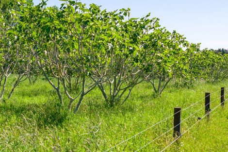 Photo of property in 140 Taylors Road, Otaki, 5583