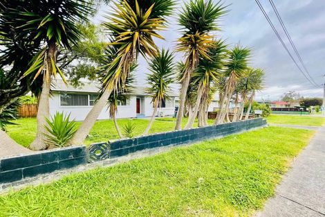 Photo of property in 61 Sheehan Avenue, Papakura, 2110