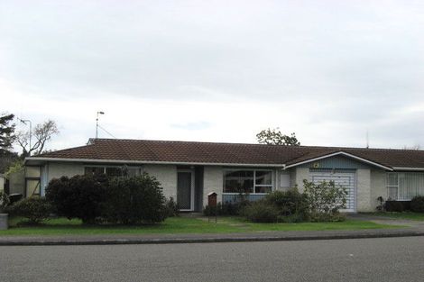 Photo of property in 13 Montgomery Street, Levin, 5510