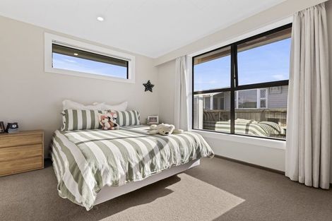 Photo of property in 15 Cross Street, Milton, 9220