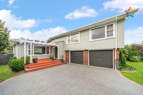 Photo of property in 41 Orr Crescent, Hutt Central, Lower Hutt, 5011
