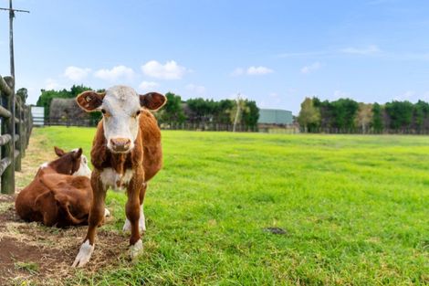 Photo of property in 105 Tauraroa Road, Maungakaramea, Whangarei, 0178