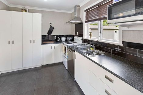 Photo of property in 41 Duke Street, Levin, 5510