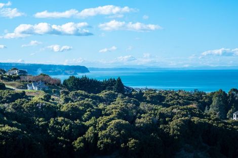 Photo of property in 39 Esk View Road, Eskdale, Napier, 4182