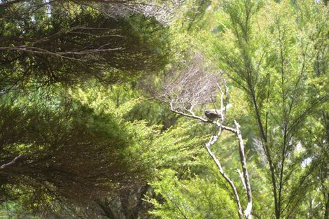 Photo of property in 638 Whangaruru Road North, Whangaruru, Russell, 0184