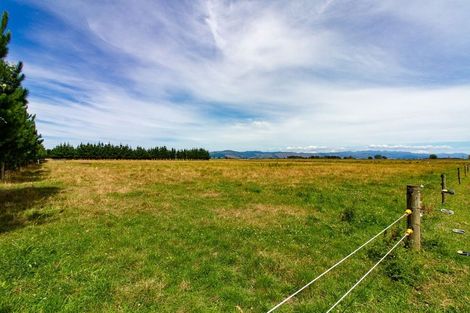 Photo of property in 281 Hoihere Road, Tiakitahuna, Palmerston North, 4477