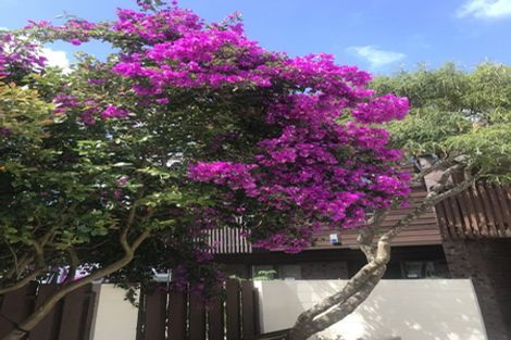 Photo of property in 38b Atkin Avenue, Mission Bay, Auckland, 1071