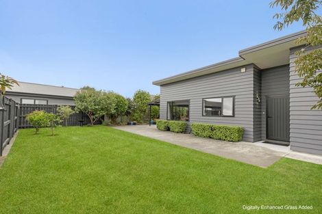 Photo of property in 302 Cambridge Avenue, Ashhurst, 4810