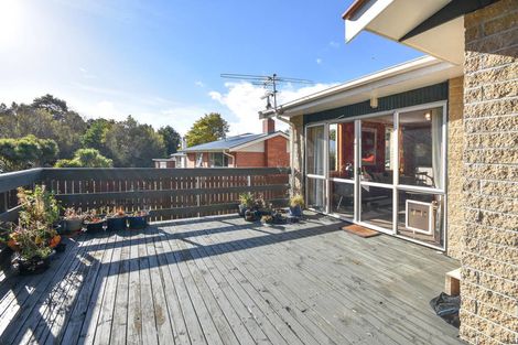Photo of property in 141 Wakari Road, Helensburgh, Dunedin, 9010