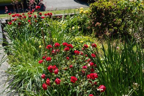 Photo of property in 87a Main Road, Fairfield, Dunedin, 9018