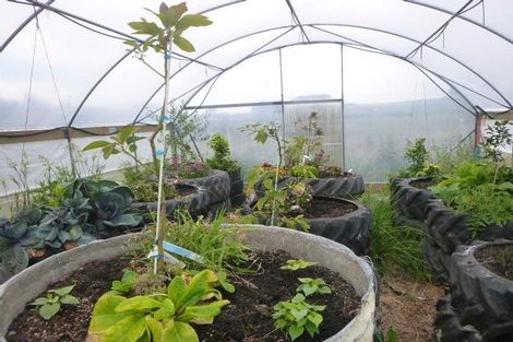 Photo of property in 59 Neva Street, Fortrose, Tokanui, 9875