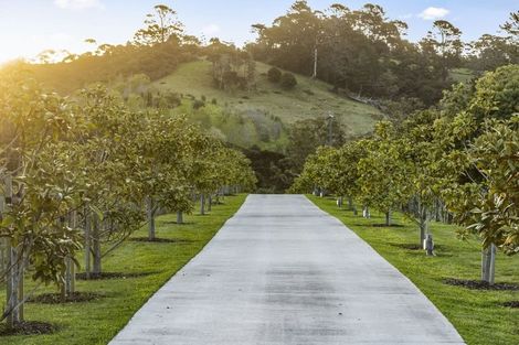 Photo of property in 123 Three Oaks Drive, Dairy Flat, Albany, 0794