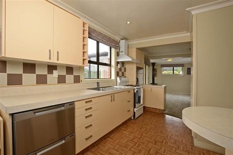 Photo of property in 14 Heath Street, Andersons Bay, Dunedin, 9013