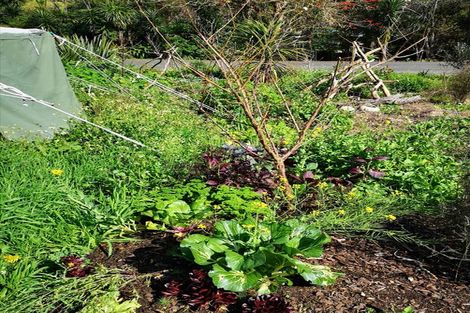 Photo of property in 26 Pacific Bay Road, Tutukaka, Whangarei, 0173