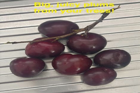 Photo of property in 161 Hautapu Street, Taihape, 4720