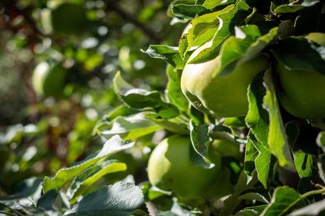 Photo of property in 13 Inverness Crescent, Arrowtown, 9302