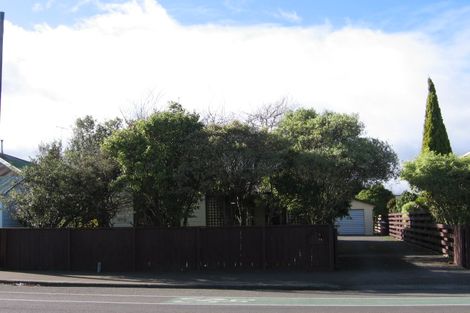 Photo of property in 71 Wood Street, Takaro, Palmerston North, 4410